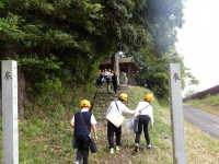 IMGP0485