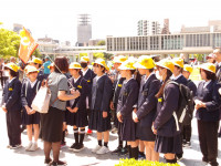 IMGP0541