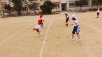 HP (4)