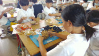 WIN_20250904_11_08_59_Pro