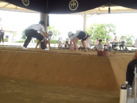 IMGP0612