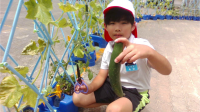 ほーむ (1)