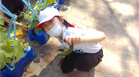ほーむ (4)