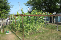 DSC08892 - コピー
